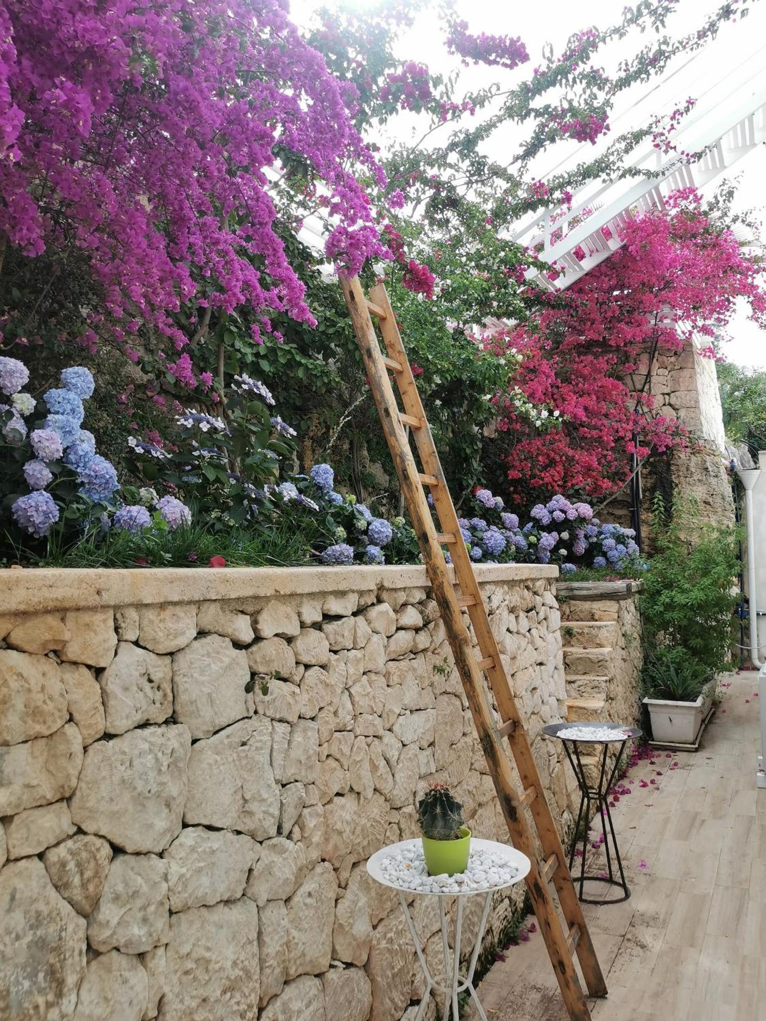 Vill'Aura Apartment Vieste Exterior foto